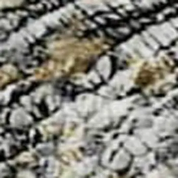 10' X 14' Midnight Ivory And Beige Abstract Washable Area Rug With UV Protection
