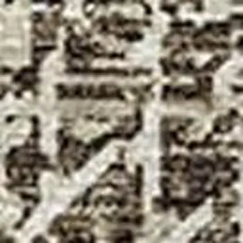 3' X 5' Brown And Ivory Medallion Washable Area Rug With UV Protection