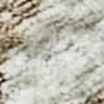 3' X 5' Coffee Ivory And Gray Botanical Leaves Washable Area Rug With UV Protection