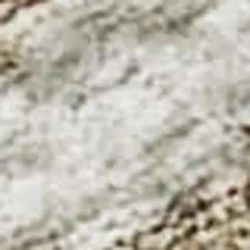 5' X 8' Coffee Ivory And Gray Botanical Leaves Washable Area Rug With UV Protection