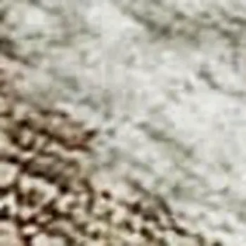 10' X 14' Coffee Ivory And Gray Botanical Leaves Washable Area Rug With UV Protection