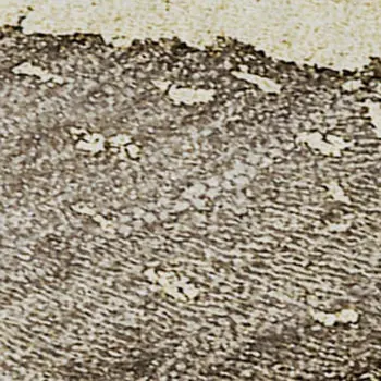 8' X 10' Taupe And Gray Abstract Washable Area Rug With UV Protection