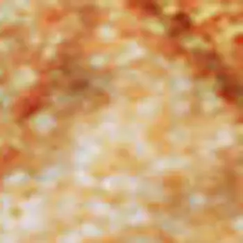 9' X 12' Orange And Ivory Abstract Washable Area Rug With UV Protection