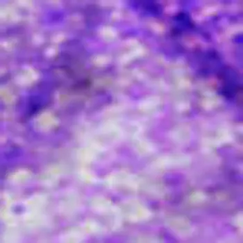 9' X 12' Purple And Ivory Abstract Washable Area Rug With UV Protection