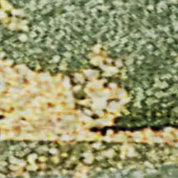 10' X 14' Green And Ivory Abstract Washable Area Rug With UV Protection