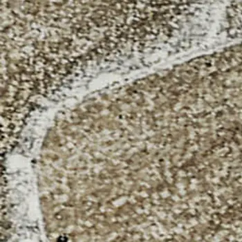 5' X 8' Brown Ivory And Gray Abstract Washable Area Rug With UV Protection