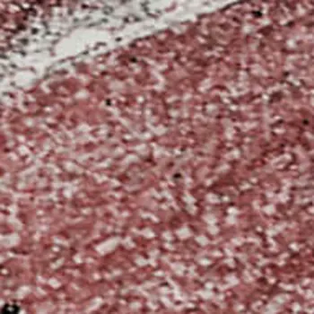 9' X 12' Merlot And Ivory Abstract Washable Area Rug With UV Protection