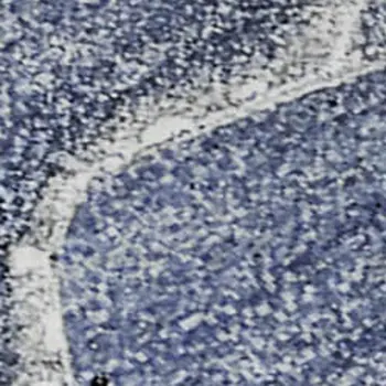 9' X 12' Navy Blue And Ivory Abstract Washable Area Rug With UV Protection