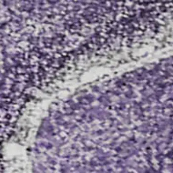 3' X 5' Purple And Ivory Abstract Washable Area Rug With UV Protection