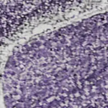 5' X 8' Purple And Ivory Abstract Washable Area Rug With UV Protection