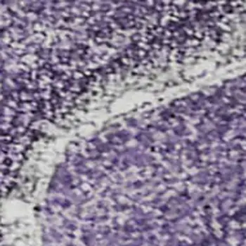 8' X 10' Purple And Ivory Abstract Washable Area Rug With UV Protection