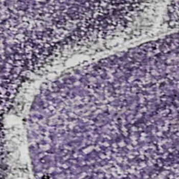 8' X 10' Purple And Ivory Abstract Washable Area Rug With UV Protection