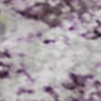 8' X 10' Purple Ivory And Green Abstract Washable Area Rug With UV Protection