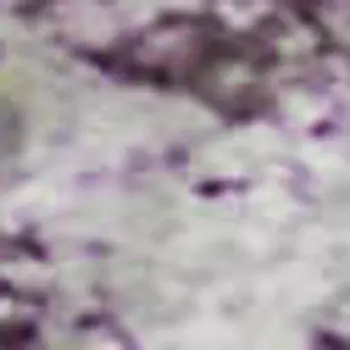 10' X 14' Purple Ivory And Green Abstract Washable Area Rug With UV Protection