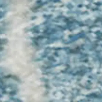 9' X 12' Denim Blue And Ivory Floral Washable Area Rug With UV Protection