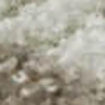 9' X 12' Taupe And Ivory Floral Washable Area Rug With UV Protection