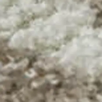 9' X 12' Taupe And Ivory Floral Washable Area Rug With UV Protection