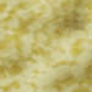 3' X 5' Yellow And Ivory Floral Washable Area Rug With UV Protection