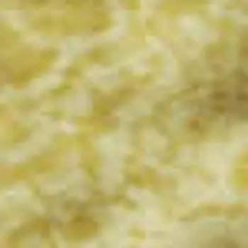 5' X 8' Yellow And Ivory Floral Washable Area Rug With UV Protection