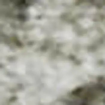 5' X 8' Beige And Ivory Abstract Washable Area Rug With UV Protection