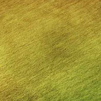3' X 5' Terra Cotta And Green Ombre Washable Area Rug With UV Protection