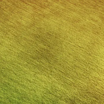 3' X 5' Terra Cotta And Green Ombre Washable Area Rug With UV Protection