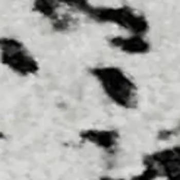 3' X 5' Black And Ivory Abstract Washable Area Rug With UV Protection
