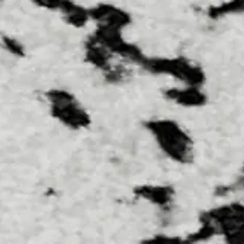 3' X 5' Black And Ivory Abstract Washable Area Rug With UV Protection
