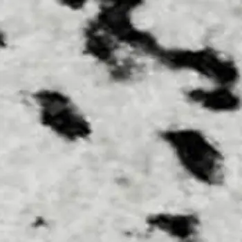 9' X 12' Black And Ivory Abstract Washable Area Rug With UV Protection