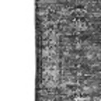 3' X 5' Charcoal And Silver Floral Washable Area Rug With UV Protection