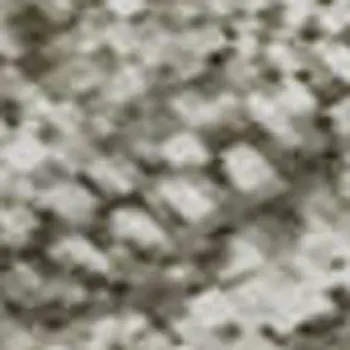 8' X 10' Beige Gray And Ivory Floral Washable Area Rug With UV Protection