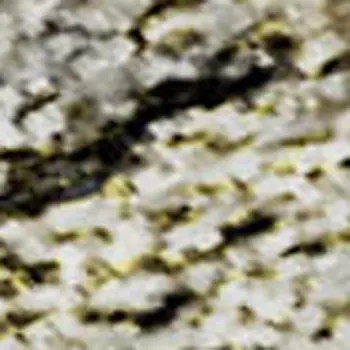 8' X 10' Silver Beige And Ivory Floral Medallion Washable Area Rug With UV Protection