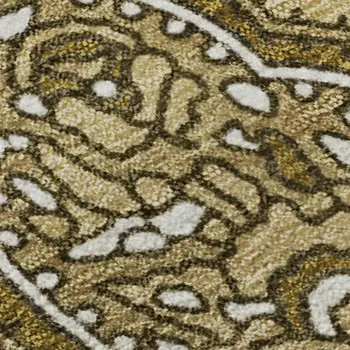 3' X 5' Brown And Ivory Paisley Washable Area Rug With UV Protection