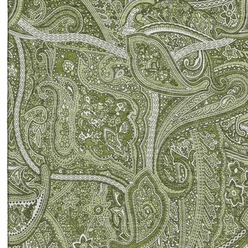 5' X 8' Green And Ivory Paisley Washable Area Rug With UV Protection