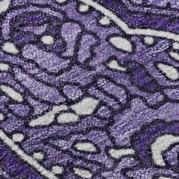 5' X 8' Purple And Ivory Paisley Washable Area Rug With UV Protection
