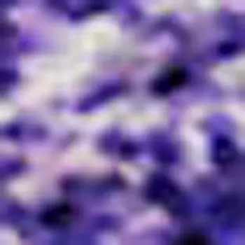 9' X 12' Purple And Ivory Ombre Washable Area Rug With UV Protection