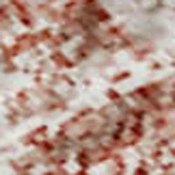 8' X 10' Blush And Ivory Abstract Washable Area Rug With UV Protection