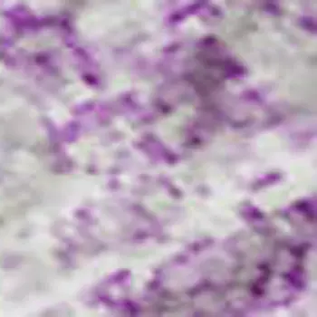 3' X 5' Lilac And Ivory Abstract Washable Area Rug With UV Protection
