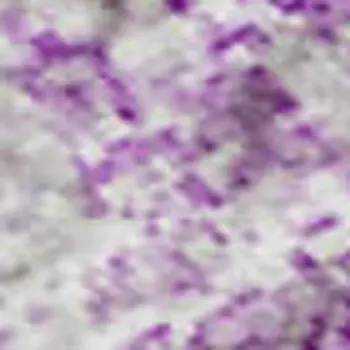 5' X 8' Lilac And Ivory Abstract Washable Area Rug With UV Protection