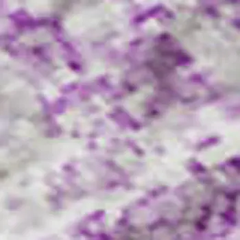 8' X 10' Lilac And Ivory Abstract Washable Area Rug With UV Protection