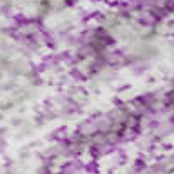 8' X 10' Lilac And Ivory Abstract Washable Area Rug With UV Protection