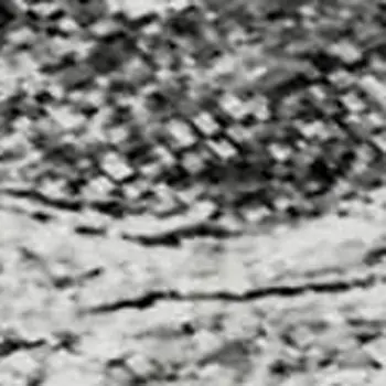 3' X 5' Gray And Ivory Abstract Washable Area Rug With UV Protection