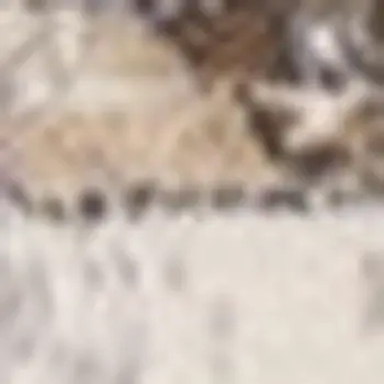 5' X 8' Brown Area Rug