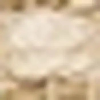 8' X 11' Beige Hand Woven Area Rug