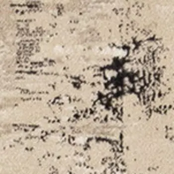 5' X 8' Beige And Black Area Rug