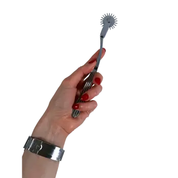 Terra- The Ultimate BDSM Pinwheel and Wartenberg Wheel