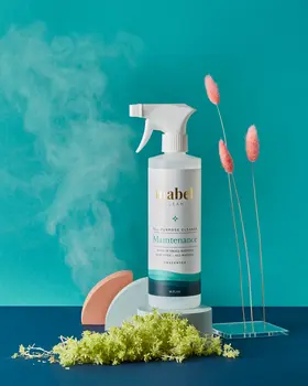 All Purpose Sex Toy Cleaner