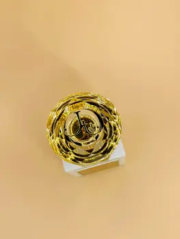 05 SULTAN’s ENIGMA