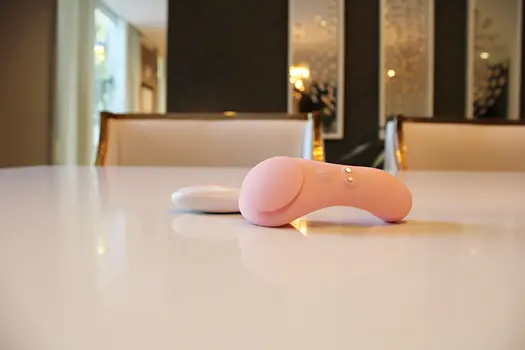 Antevorta - The Panty Vibrator