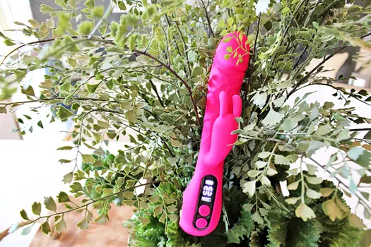 Pales - The Ultimate Smart Vibrator